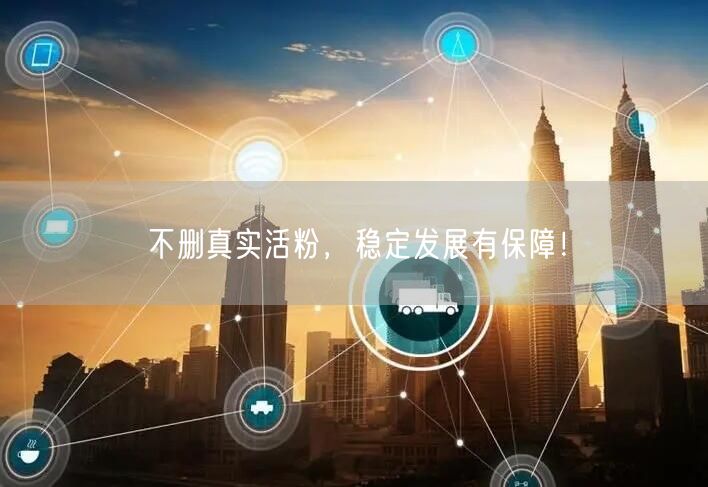 不删真实活粉，稳定发展有保障！