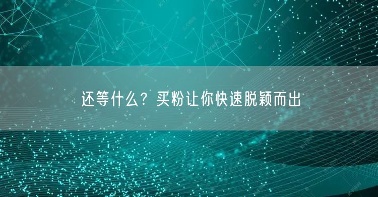还等什么？买粉让你快速脱颖而出