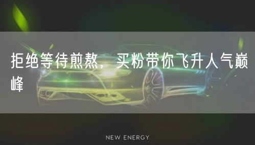 拒绝等待煎熬，买粉带你飞升人气巅峰