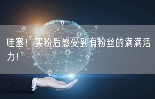 哇塞！买粉后感受到有粉丝的满满活力！