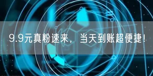 9.9元真粉速来，当天到账超便捷！