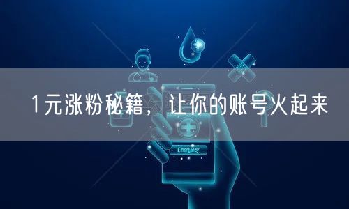 1元涨粉秘籍，让你的账号火起来