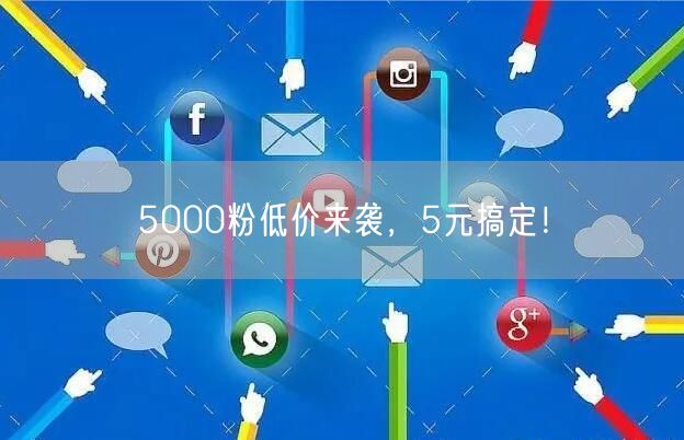 5000粉低价来袭，5元搞定！