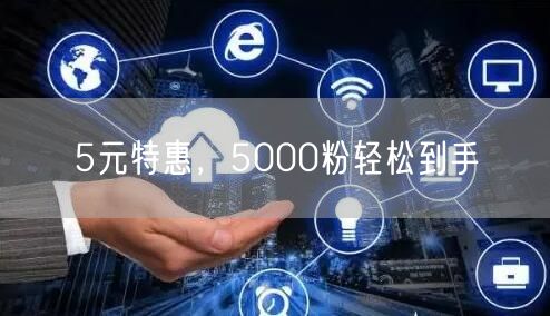 5元特惠，5000粉轻松到手