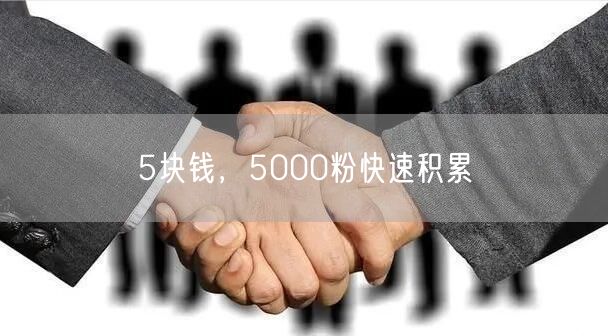 5块钱，5000粉快速积累