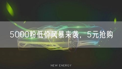 5000粉低价风暴来袭，5元抢购