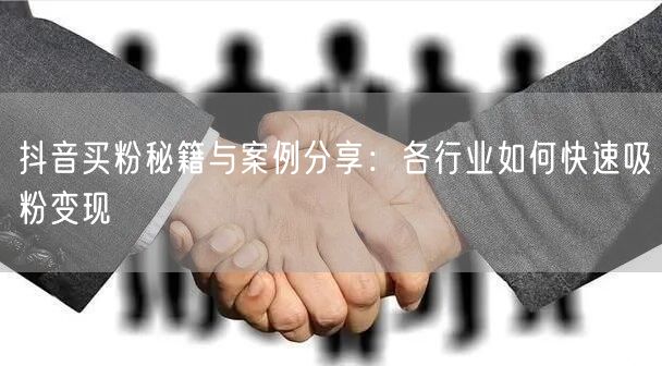 抖音买粉秘籍与案例分享：各行业如何快速吸粉变现
