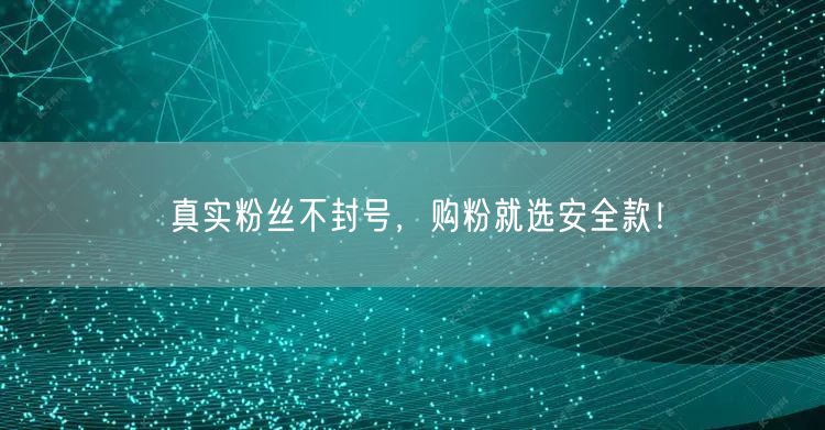 真实粉丝不封号，购粉就选安全款！