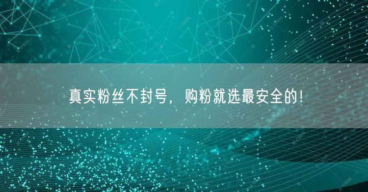 真实粉丝不封号，购粉就选最安全的！