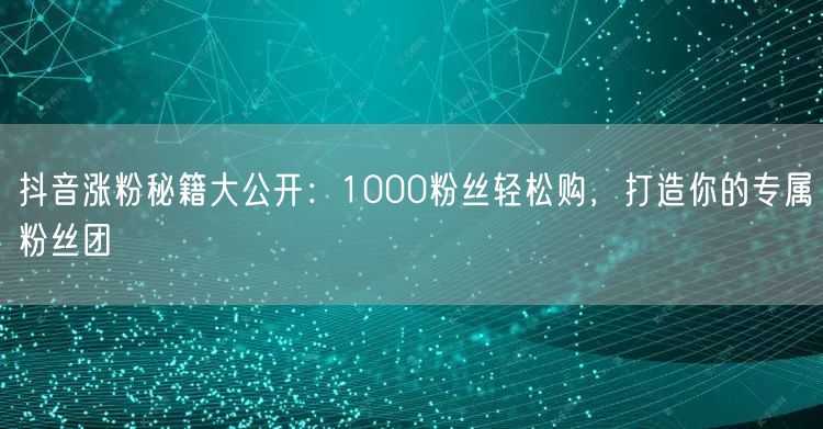 抖音涨粉秘籍大公开：1000粉丝轻松购，打造你的专属粉丝团