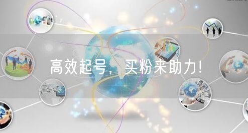 高效起号，买粉来助力！