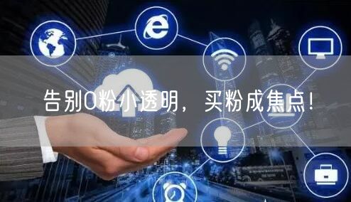 告别0粉小透明，买粉成焦点！