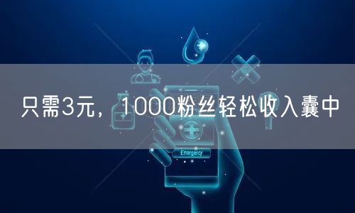 只需3元，1000粉丝轻松收入囊中