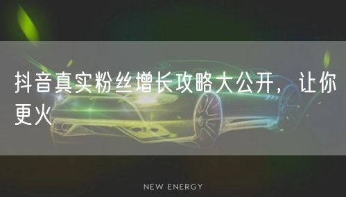 抖音真实粉丝增长攻略大公开，让你更火