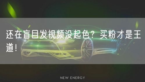还在盲目发视频没起色？买粉才是王道！