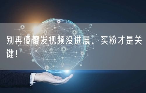 别再傻傻发视频没进展，买粉才是关键！