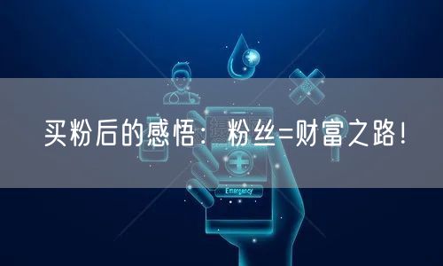 买粉后的感悟：粉丝=财富之路！