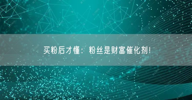 买粉后才懂：粉丝是财富催化剂！