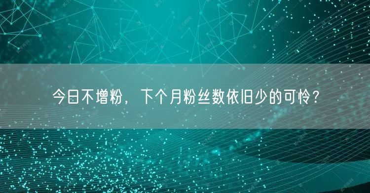 今日不增粉，下个月粉丝数依旧少的可怜？