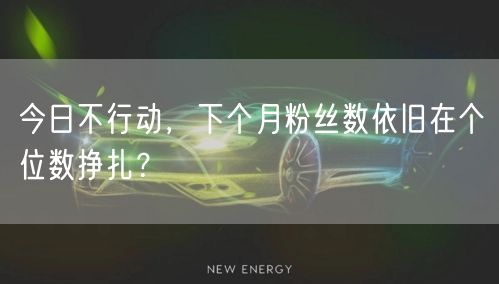 今日不行动，下个月粉丝数依旧在个位数挣扎？