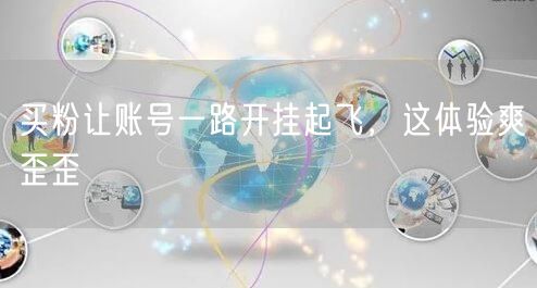 买粉让账号一路开挂起飞，这体验爽歪歪