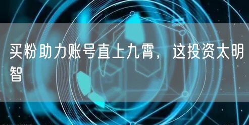买粉助力账号直上九霄，这投资太明智