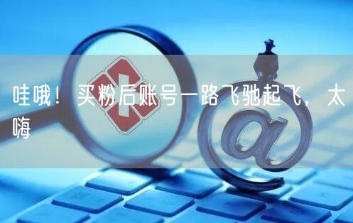哇哦！买粉后账号一路飞驰起飞，太嗨