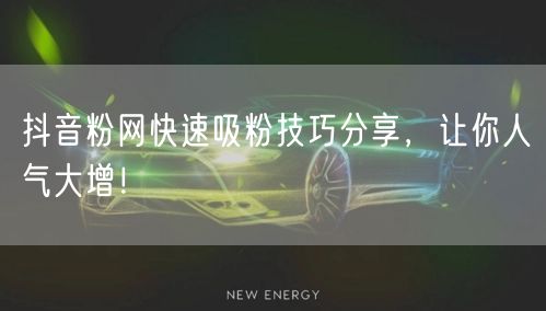 抖音粉网快速吸粉技巧分享，让你人气大增！