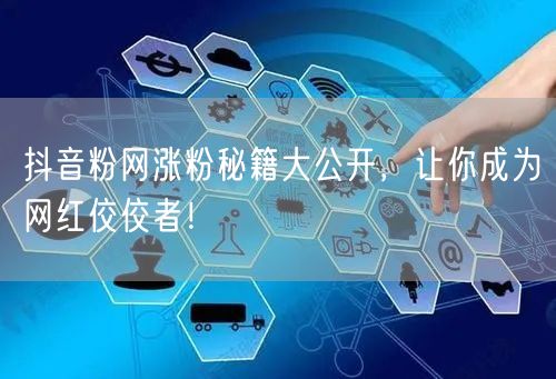 抖音粉网涨粉秘籍大公开，让你成为网红佼佼者！