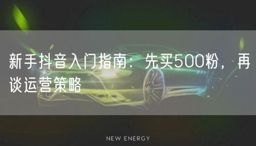 新手抖音入门指南：先买500粉，再谈运营策略