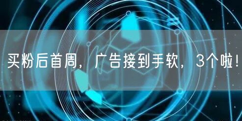 买粉后首周，广告接到手软，3个啦！