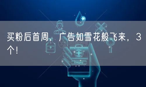 买粉后首周，广告如雪花般飞来，3个！