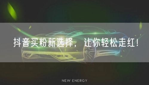 抖音买粉新选择，让你轻松走红！