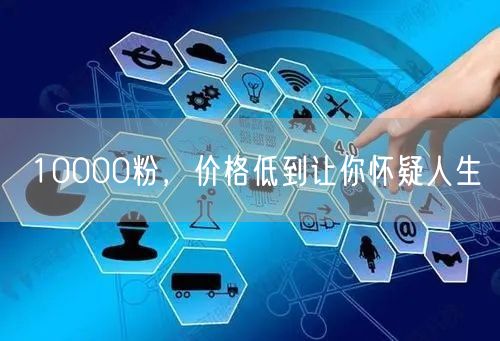10000粉，价格低到让你怀疑人生