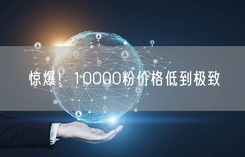 惊爆！10000粉价格低到极致
