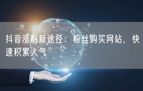 抖音涨粉新途径：粉丝购买网站，快速积累人气